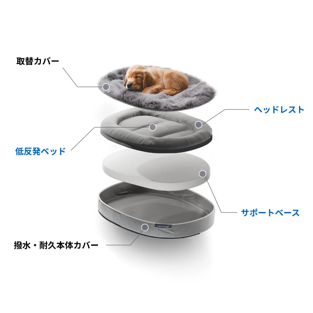 ペットラウンジ - 創ったのは、最高の家族の最高の居場所 |【公式 ペットラウンジ - 創ったのは、最高の家族の最高の居場所 |【公式