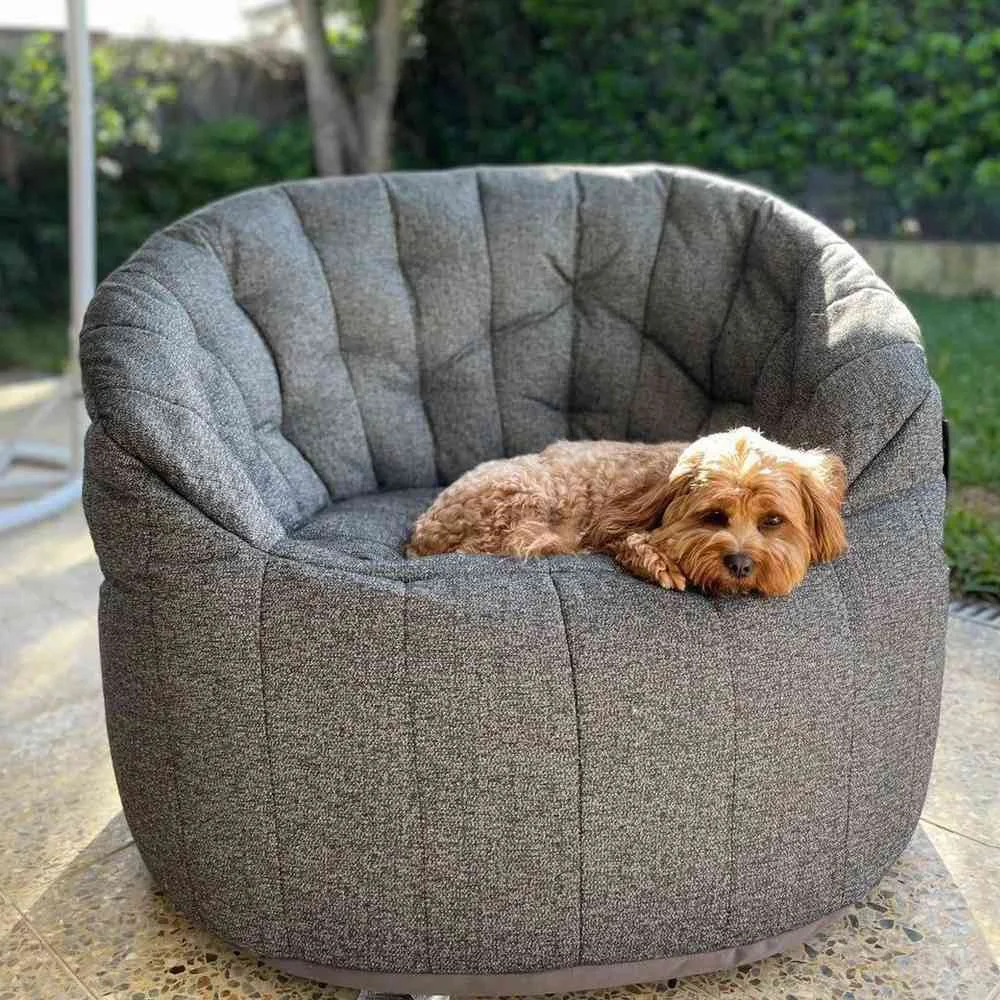 ambientloungejapan-Butterfly-