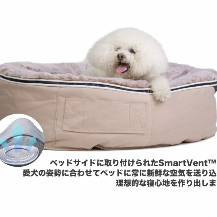 ambientlounge-PetLounge-beige-structure-2-1080x1080 ambientlounge-PetLounge-beige-structure-2-1080x1080