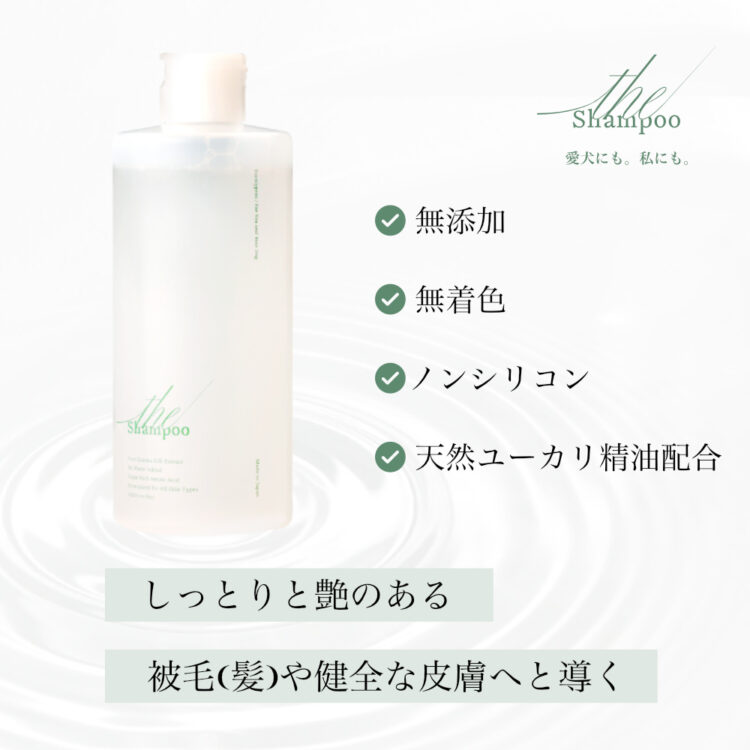 theShampoo-2 theShampoo-2