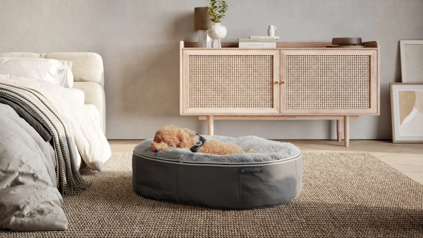 ペットベッドに眠る小型犬