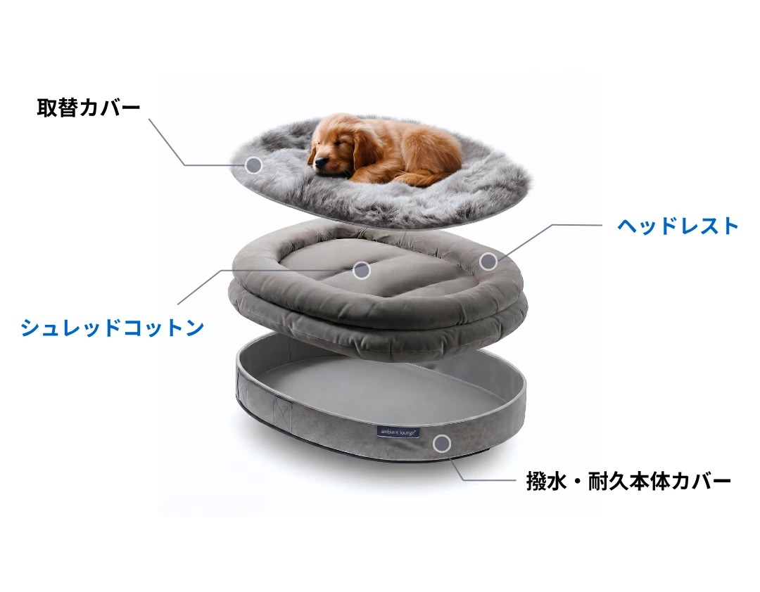 公式】 Dika Test - Pet Lounge Product - アンビエントラウンジ