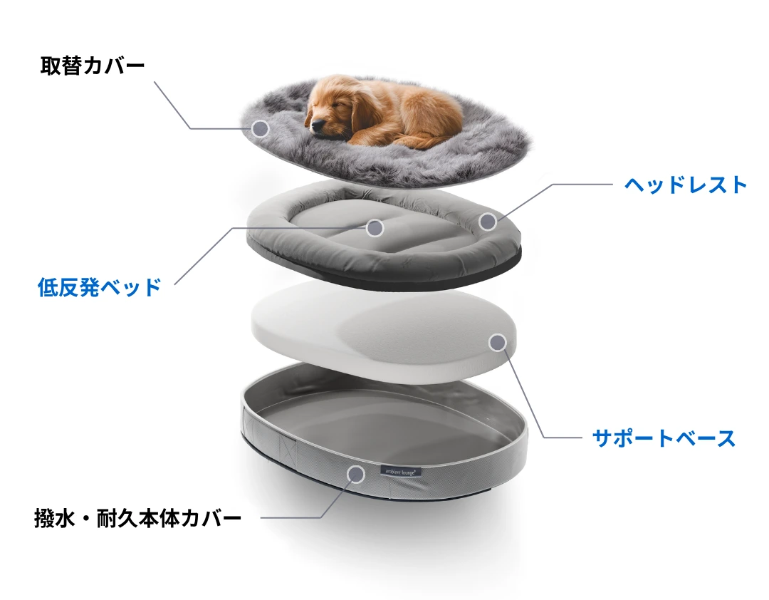 公式】 Dika Test - Pet Lounge Product - アンビエントラウンジ 公式】 Dika Test - Pet Lounge Product - アンビエントラウンジ